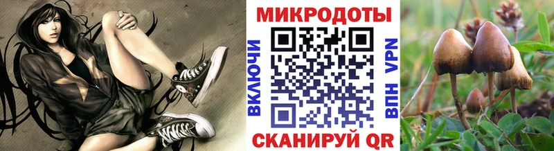Галлюциногенные грибы Psilocybe  Алупка 